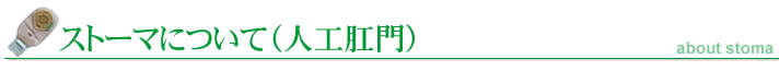 �X�g�[�}�ɂ���